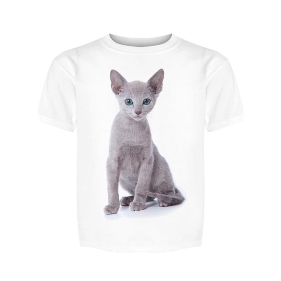 Russian Blue Cat, Tee Boy's -Image by Shutterstock
