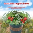 thumbnail image 4 of Yazoeia Strawberry Supports Strawberry Plant Support,Strawberry Plant Support Stand Strawberry Growing Racks Protector,Fruit Growing Frame with 3 Sturdy Legs for Planting CJC912-156495, 4 of 8