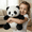 black,Free Size, variant on Emotional Support Panda Stuffed Animal, Ultra Soft Plush Toy for Stress Relief and Comfort, Realistic Panda Plush for Snuggles Anytime
