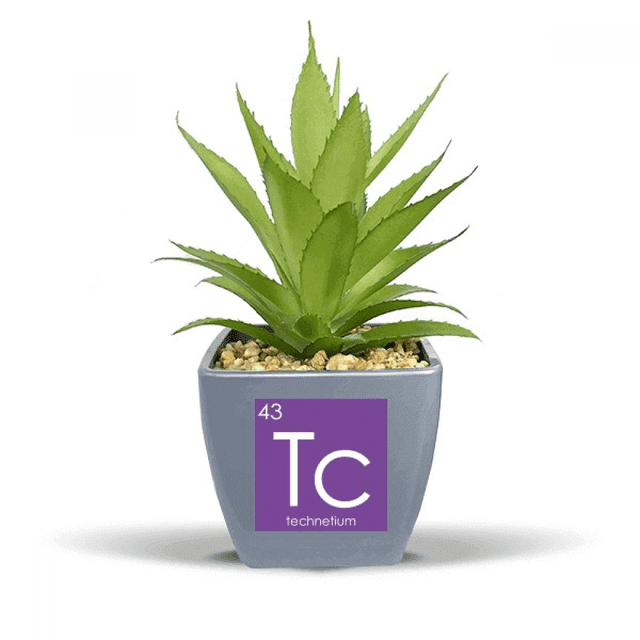 Chestry Éléments Tableau Périodique Transition Métaux Technétium Tc Faux Pot de Fleurs Ananas Mini Décor