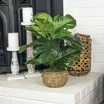 LCG Florals Artificial Plant, Split Leaf Plant, 1.83 ft, Low Round Handwoven Basket