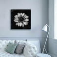 thumbnail image 5 of Epic Graffiti 'Sunny Bloom Monochrome' by Leah McLean,, 37"x37", 5 of 8