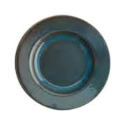 Oneida F1493020748 12.5 oz Terra Verde Porcelain Pasta Entree Dish Plate  Dusk