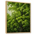 thumbnail image 2 of Designart "Blissful American Basswoods I" Tree Amercian Basswood Floater Framed Wall Art Prints, 2 of 5