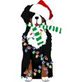 thumbnail image 3 of CafePress - Christmas Bernese Mt Holiday Dog Long Sleeve T Shi - Women's Long Sleeve Graphic Casual T-Shirt, 3 of 4