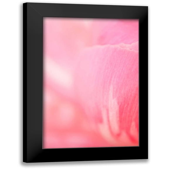 Millet, Karyn 11x14 Black Modern Framed Museum Art Print Titled - Pink Peony IV