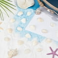 thumbnail image 4 of 300 piezas de conchas marinas pequeñas, adornos de conchas marinas naturales de verano, playa, mar, océano, animales, sin agujero, adorno de cuentas sin perforar, 4 of 6