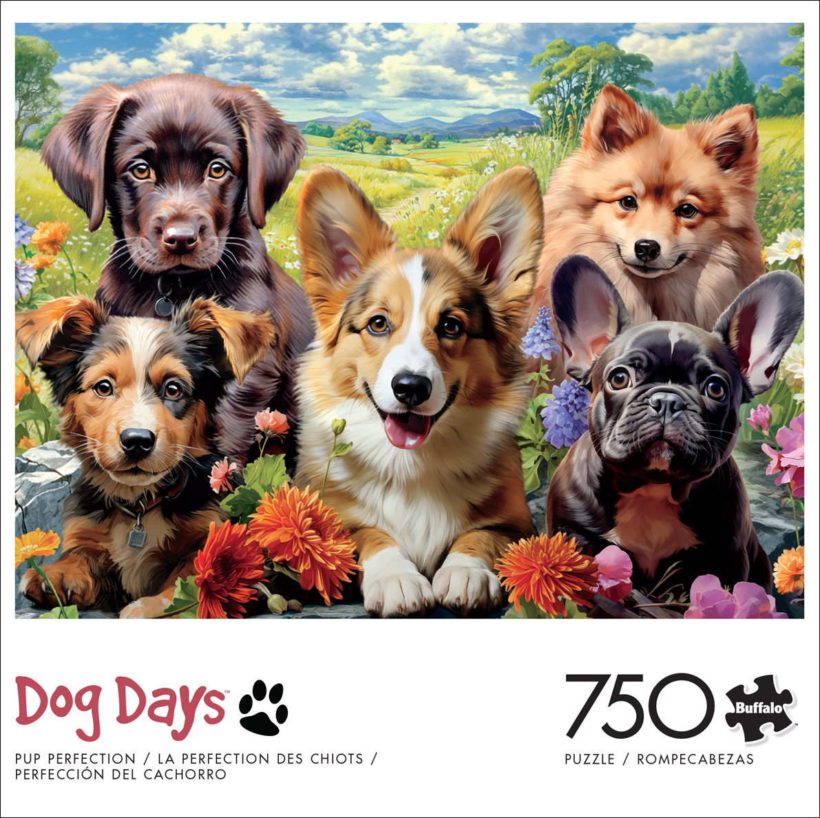 Buffalo Games Image World Perfection de Chiot Casse-Tête de 750 Pcs pour Adultes Casse-Tête Stimulant Parfait pour les Soirées de Jeux - Casse-Tête Fini Taille 24 x 18