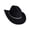 Black, variant on 1. Sparkling Rhinestones Cowgirl Hats Adjustable Unisex Lightweight Acrylic Halloween Outdoor Concerts