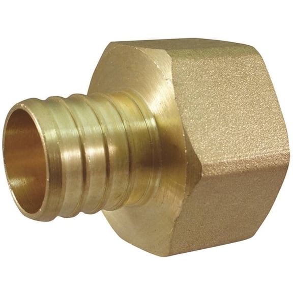 Adapter Pex 1inch Brass Female