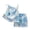 Blue, variant on FDDMis Toddler Girl Clothing Set 2t Girls Matching Outfits 5 T Girls Outfits Girls Athletic Tops and Gym Shorts 3 to 6 Month Baby Girl Clothes, Blue 12-18 Months