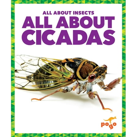 All about Insects All about Cicadas, (Hardcover)