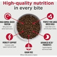 thumbnail image 2 of MedalSeries Grain-Free Turkey & Peas Recipe Large Breed Adult Dry Dog Food 24 lbs., 2 of 2
