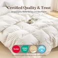 Oversized Queen Year-round Goose Down Fiber Comforter, Cotton Shell All ...
