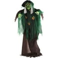 thumbnail image 1 of Haunted Hill Farm 6FT Standing Witch Animatronic, 1 of 4