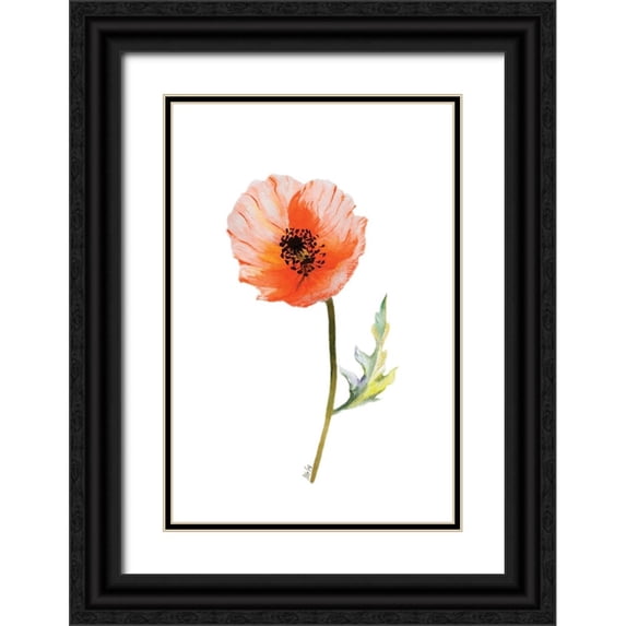 Fay, Mela 13x18 Black Ornate Wood Framed with Double Matting Museum Art Print Titled - Poppy I