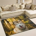 thumbnail image 2 of Dreamtimes Lightweight Soft Area Rugs 63 x 48 in, Siberian Husky Posing in The Bright Fall Floor Mat for Kids Playing Room Hardwood Floor Living Room Nursery Rugs, 5'3" x 4', 2 of 6