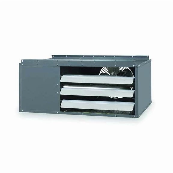 Dayton Low-Profle Gas Unt Htr,NG, LP,740cfm 2RYU9A