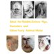 thumbnail image 2 of Labymos Juguetes para masticar hámster, juguetes de, 2 of 8