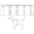 thumbnail image 3 of Stylish Pet Accessories Ceramic Traditional Floral Pattern Versatile Indoor Outdoor Use For Dogs And Cats In Various Settings, 3 of 3