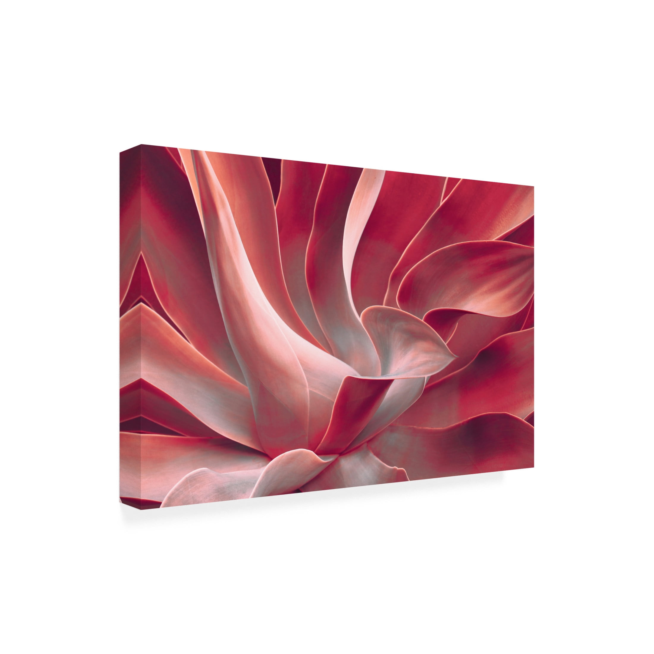 Trademark Fine Art Robin Wechsler  Leaves like satin ribbons Canvas Wall Art