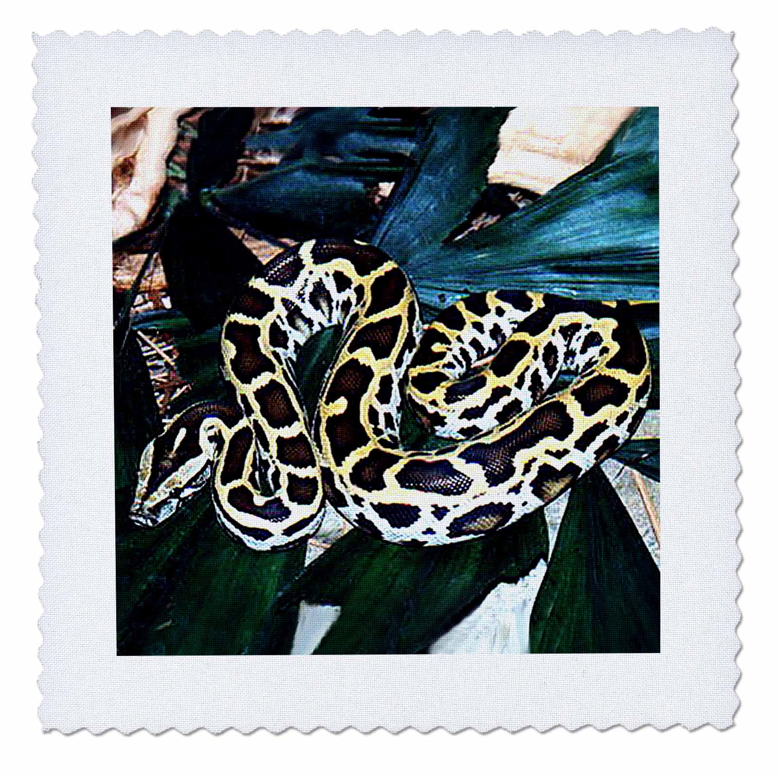 Burmese Python 6x6 inch quilt square qs6122