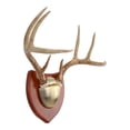 thumbnail image 3 of Allen Company Ez Horn Mounting Kit with Hardwood Plaque, 11.5" x 4" x 10.5", Wood, Brown, Model 7218, 3 of 10
