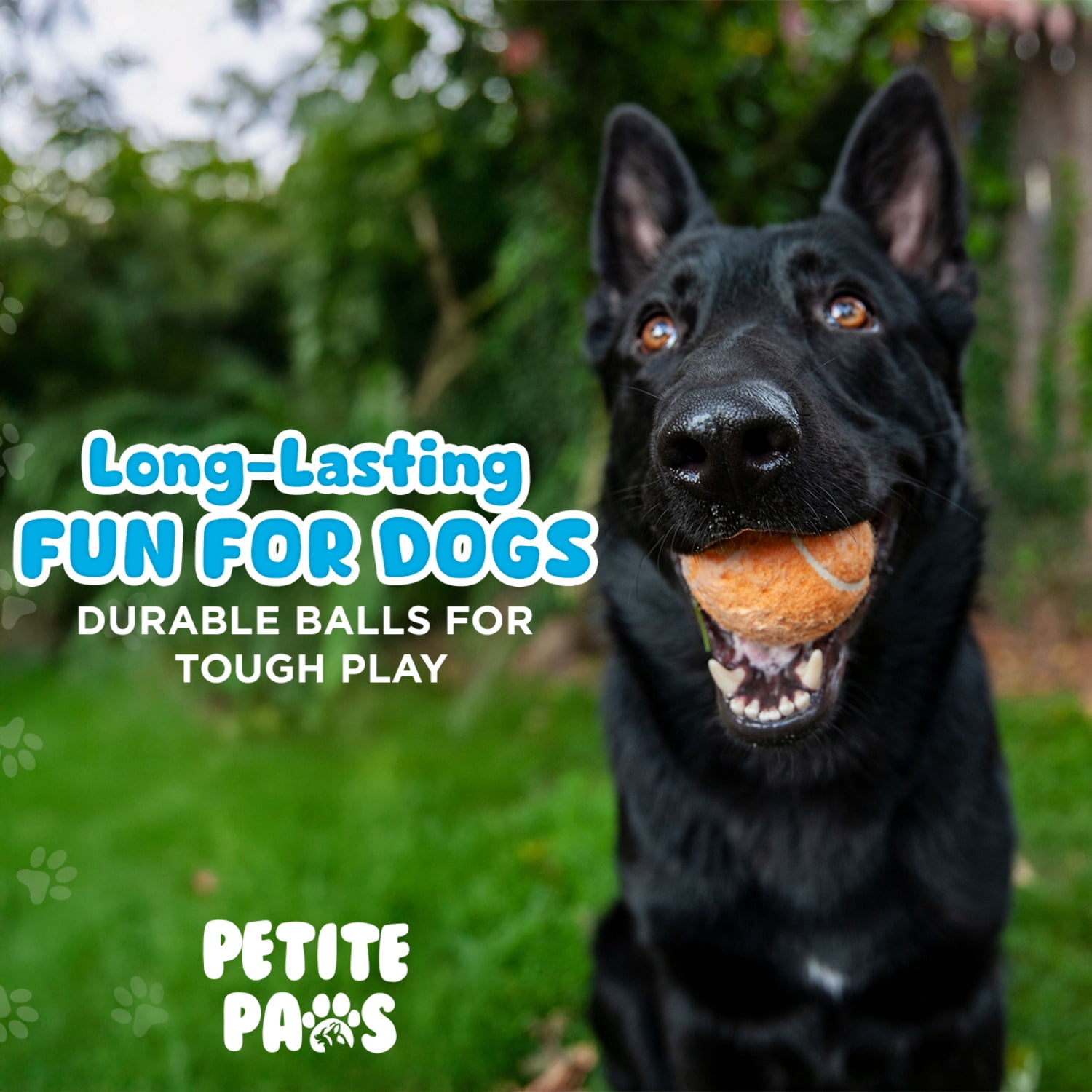 Petite Paws Colorful Squeaky Tennis Balls for Large Dogs and Puppies — 2.5-Inch, 12-Pack — High-Bounce Fetch Toy