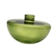 thumbnail image 3 of Florero de vidrio BLESIY hidropónico Contenedor de flores verde, 3 of 8