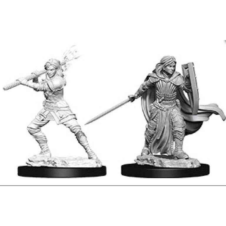 Dungeons & Dragons: Nolzur’s Marvelous Minis – Figura Sin Pintar De Bárbara Humana Femenina, Ideal Para Juegos De Rol Y Coleccionistas