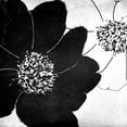 thumbnail image 3 of Sommers, Mindy 12x12 Black Modern Framed Museum Art Print Titled - Peony Party, 3 of 5