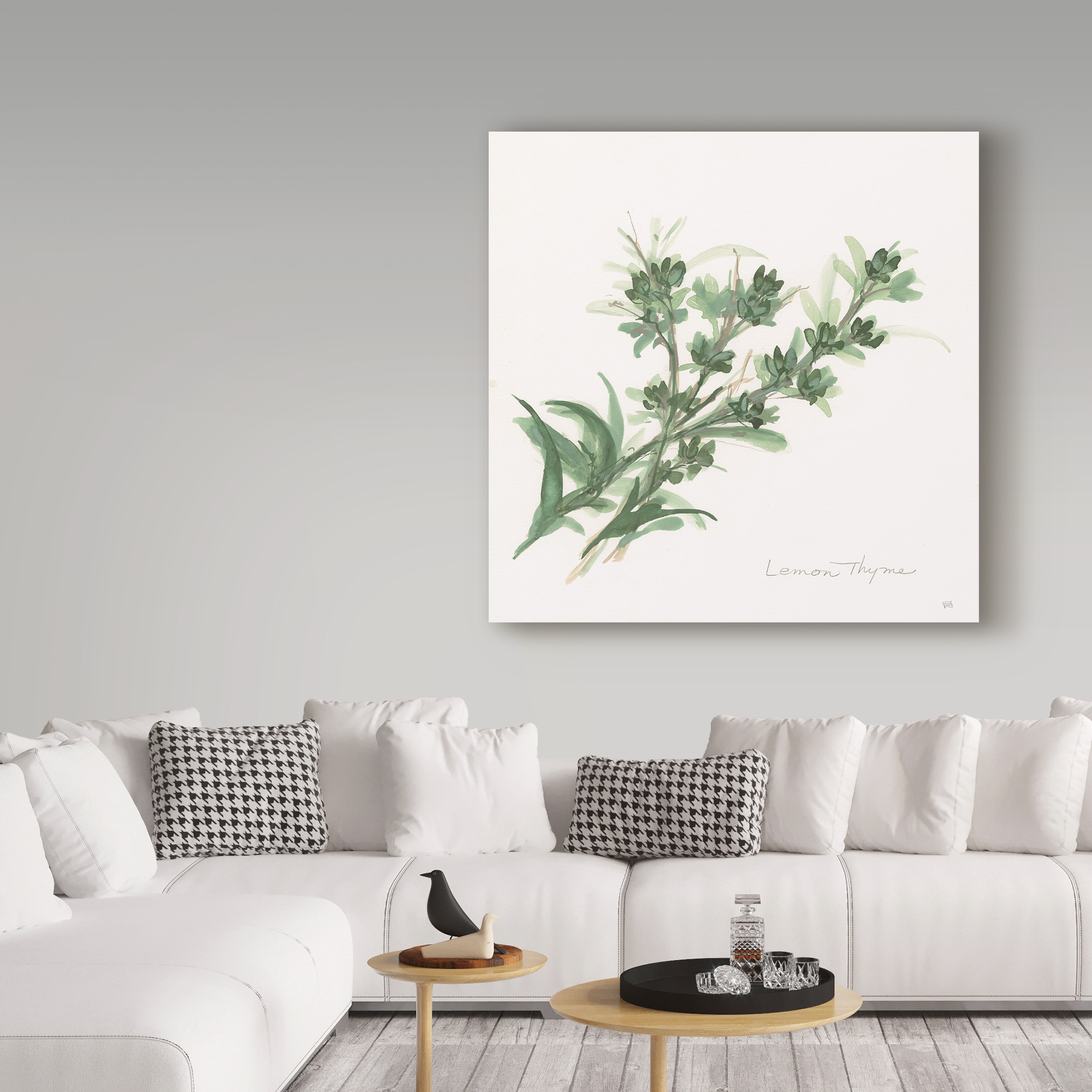 Trademark Fine Art 'Lemon Thyme' Canvas Art by Chris Paschke