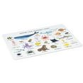 thumbnail image 1 of Ensemble de 12 Sets de Table Alphabet Vie Marine, 1 of 1