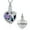 Blue/Rainbow, variant on Crystal Heart with Hummingbird and Sunflower Memorial Cremation Jewelry for Ashes Holder Urn Necklace Lockets for Ashes of Loved One Pendent for Ashes and Chain