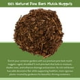 thumbnail image 5 of 100% Natural Pine Bark Mulch Nuggets (12 Quarts), Small Mulch Chips for Indoor/Outdoor Container Gardening, Ideal for Soil Supplement, Houseplant Mulch, and Terrariums, 5 of 9