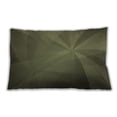 thumbnail image 1 of Ahgly Company Indoor Rectangular Contemporary Lumbar Throw Pillow, 13 inch by 19 inch, 1 of 5