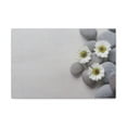 thumbnail image 3 of Three White Flower Forest Floral Nature Photography Canvas Wall Art for Home Decor Ready-to-Hang, 3 of 18