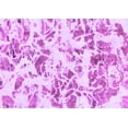 thumbnail image 1 of Ahgly Company Indoor Rectangle Abstract Purple Modern Area Rugs, 7' x 10', 1 of 4