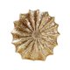 thumbnail image 4 of Conch Flower Jarrón decorativo Jarrón decorativo Retro de escritorio estético Arreglo floral para sala de estar Fiesta de escritorio de mesa de Oro pequeño, 4 of 8