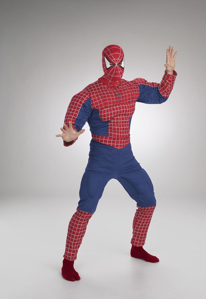 Spiderman Mens Fancy Dress Superhero The Amazing Spider-Man Adult Costume Outfit 