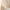 White, variant on Pitauce Womens Oversized Cardigan Sweater Button Down Long Sleeve Cable Knit Embroidery Sweaters Outwear with Pockets, Free Size
