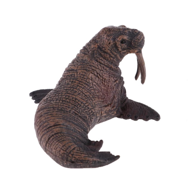 MERIGLARE Marine Animals Figure Plastic Walrus Model Animals Playset Model Kids