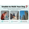 thumbnail image 5 of PET AWESOME Dog Potty Tray / Puppy Pee Pad Holder 25”x20” Indoor Wee Training for Small and Medium Dogs, 5 of 7