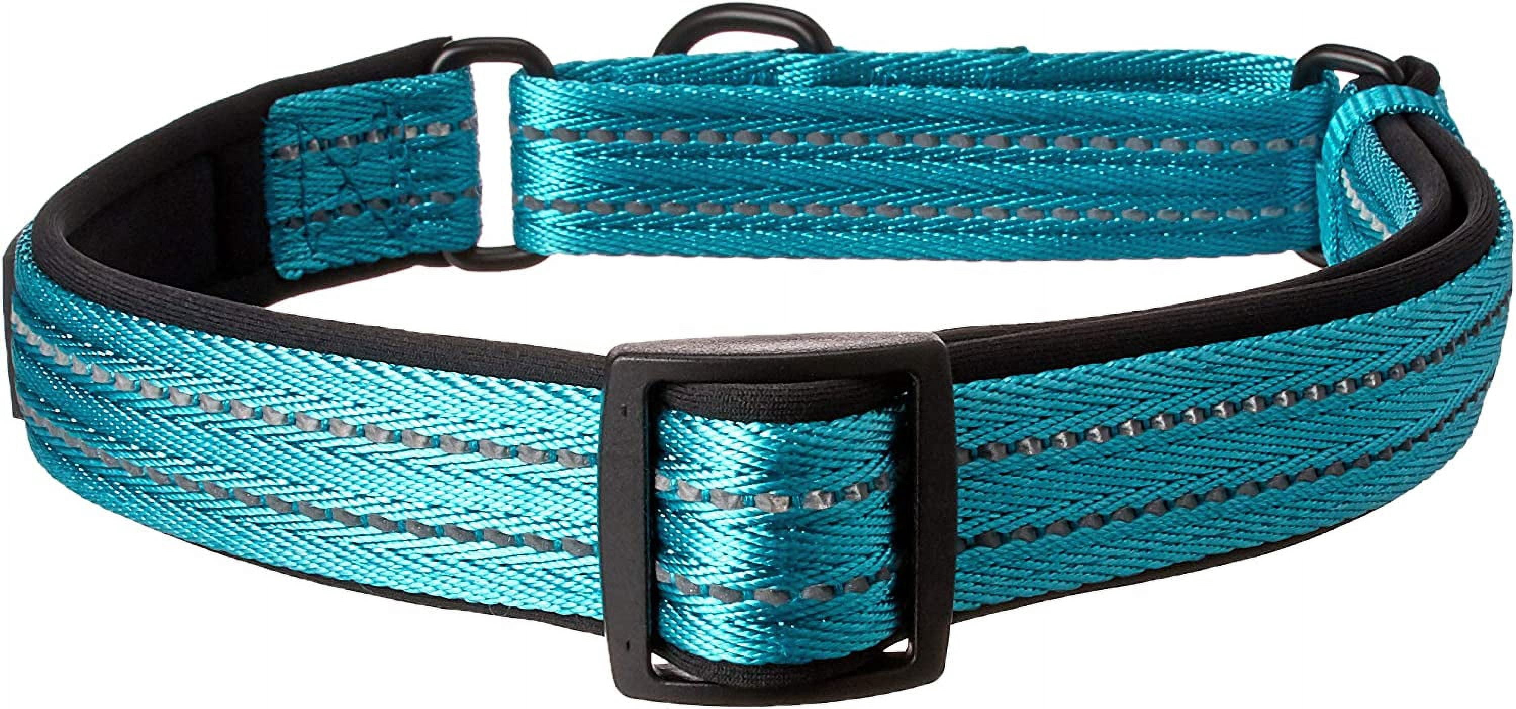 Alcott Martingale Collar with Reflective Stitching & Neoprene Padding, Large, Blue