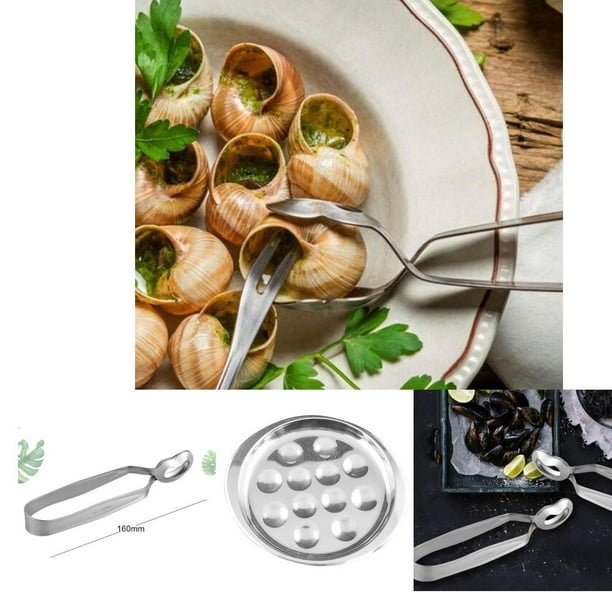 Assiette Escargot Escargot Inox Plats 12 Trous Escargot s 