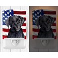 thumbnail image 2 of Carolines Treasures SC9012CNL USA American Flag with Labrador Ceramic Night Light, 6x4x3, Multicolor, 2 of 2