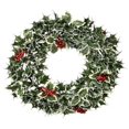 thumbnail image 1 of 22" Frosted Edge Variegated Holly Leaf Wreath, 1 of 1