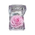 thumbnail image 4 of Cajas preservadas,Caja para anillos con flores preservadas,regalos de San Valentín,Estuche para anillos de boda,caja de acrílico para anillos de propuesta,Regalos de rosas con flores eternas, 4 of 8