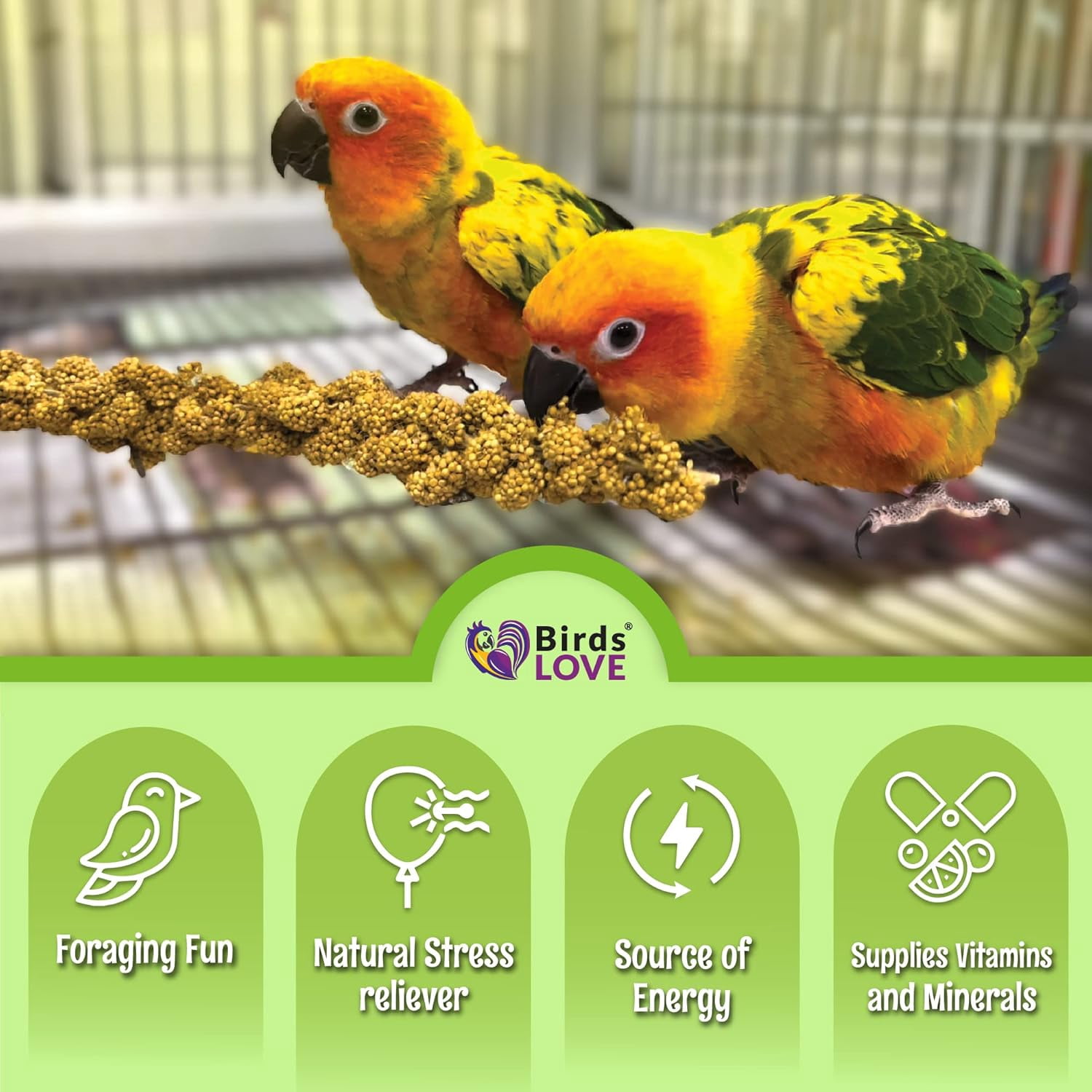 Birds LOVE French Kissed Spray Millet for Birds, USA Grown, 100% Natural Sun-Dried Millet Treat for Parakeets, Cockatiels, Conures & Budgies, Non GMO, 5 lb
