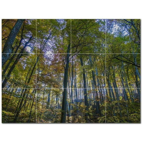 Trees Forest Ceramic Tile Mural Kitchen Backsplash Bathroom Shower 401699-L43